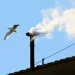 White smoke from Sistine Chapel confirms new pope for Catholics
