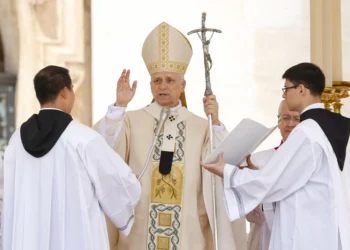 Pope Leo urges unity, denounces unchecked capitalism at 1st Mass