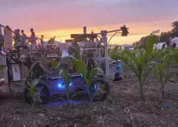 DLG sponsors 22nd international Field Robot Event in Italy – a window into Agritechnica’ digital farm centre