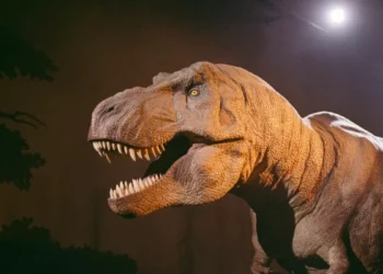 New Study Traces T-Rex’s Origins to Asia and Links Gigantic Size to Climate Shift