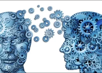 Cutting NSF Is Like Liquidating Your Finest Investment