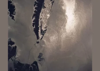 NASA’s SWOT Satellite Reveals Big Impact of Small Ocean Currents and Waves in n Marine Ecosystems