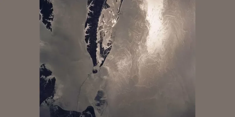 NASA’s SWOT Satellite Reveals Big Impact of Small Ocean Currents and Waves in n Marine Ecosystems