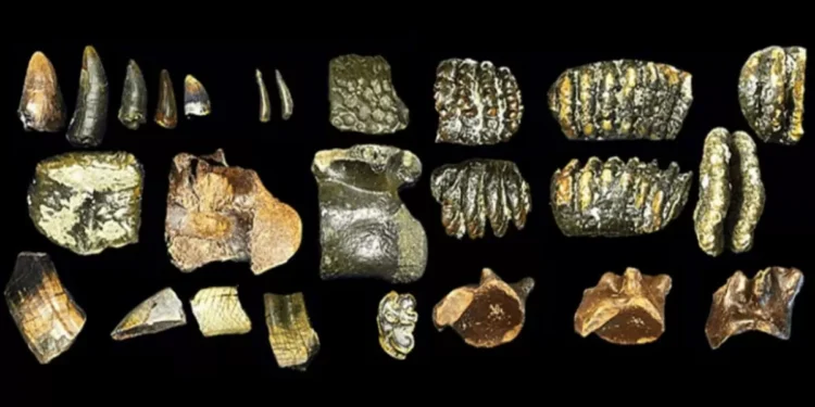 800-Year-Old Mummy Reveals Unusual Facial Tattoos Made from Rare Minerals