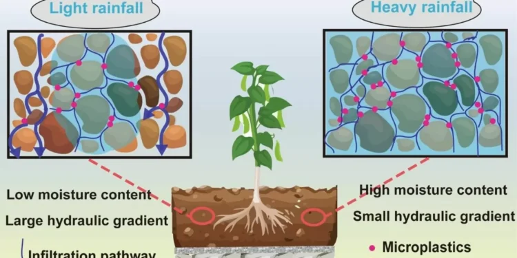 Green Rooftops Could Help Cities Like Shanghai Filter Out Tons of Microplastics from Rainwater