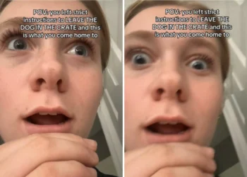 Woman Gives Dogsitter ‘Strict Instructions’—Shock at What She Comes Home To