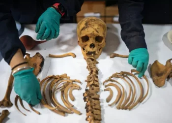 1,000-Year-Old Mummy Found by Gas Workers in Peru Linked to Chancay Culture