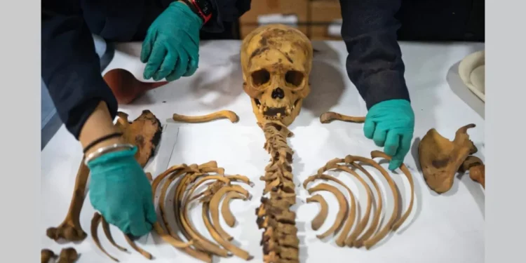 1,000-Year-Old Mummy Found by Gas Workers in Peru Linked to Chancay Culture