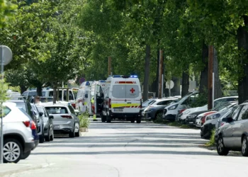 Shooting at Austrian high school leaves 10 dead, authorities say