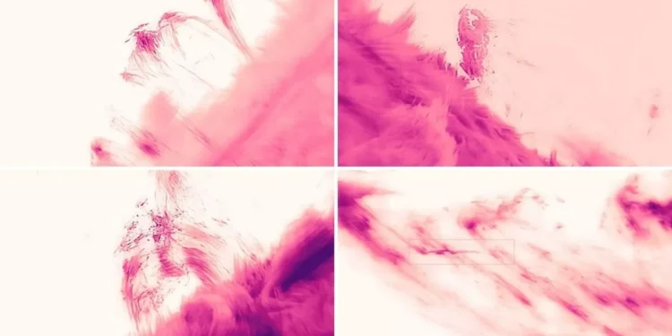 Scientists Capture Plasma Streams, Coronal Raindrops in Sharpest-Ever View of Sun’s Corona