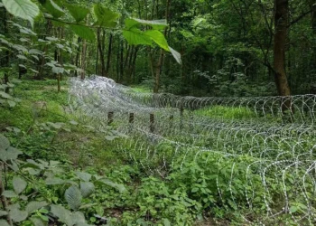 Ukraine draws line in Sumy, stalls Russia’s military advances