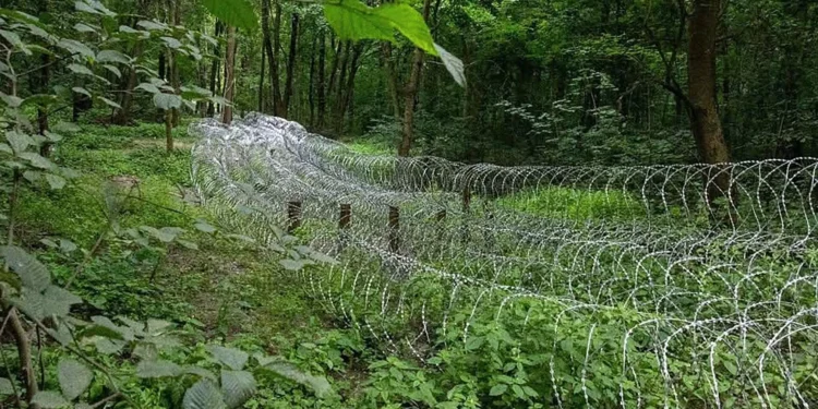 Ukraine draws line in Sumy, stalls Russia’s military advances