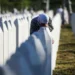 Bosnia’s wound, the world’s shame: Srebrenica, 30 years on