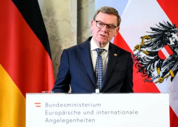 German FM pushes back against restoring Taliban ties for deportations