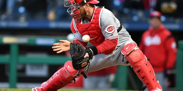 Former Reds, Cubs Gold Glove Catcher Suddenly Retires After 12 Seasons
