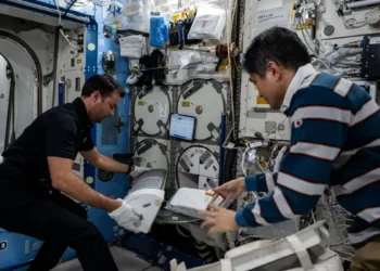 Axiom 4 Mission Crew Settles Down at ISS, Begins Conducting Biomedical Research