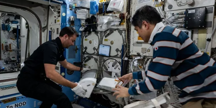 Axiom 4 Mission Crew Settles Down at ISS, Begins Conducting Biomedical Research