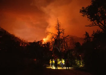 Thousands Evacuated as Wildfires Rage in California, Oregon