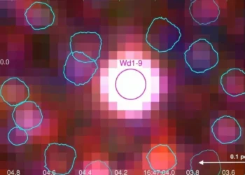 Supergiant Star Wd1-9 Investigated: Know Everything about New Findings and Insights from Supergiant Star