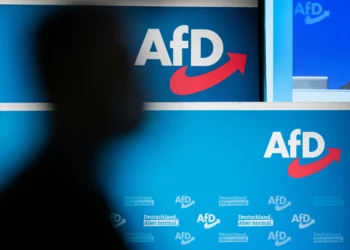 Germany’s AfD outraged as fourth regional branch branded extremist