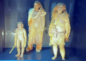 The Musée des Confluences: Celebrating Secularism and the Sciences