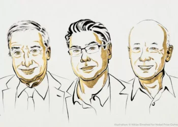 We See Economic Growth Differently Thanks to the 2025 Nobelists in Economics