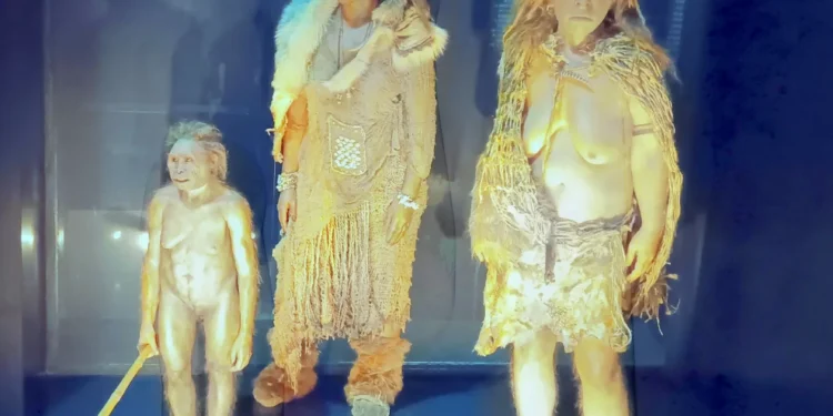 The Musée des Confluences: Celebrating Secularism and the Sciences