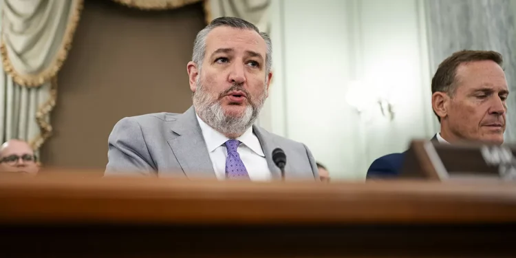 Cruz presses Wikipedia on bias amid growing conservative criticism