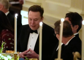 Elon Musk suggests AI will make work ‘optional’ and money irrelevant