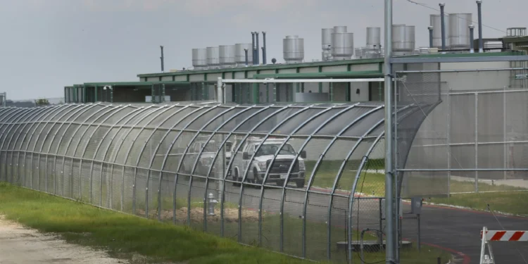 Five Plead Guilty in First Antifa Terrorism Case After Trump’s Designation