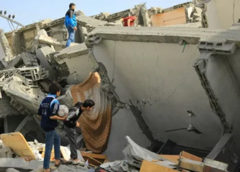 What Is a University For, After Gaza?