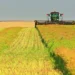 Canadian canola farmers express ‘cautious optimism’ over trade agreement with China