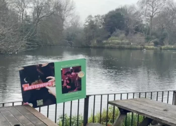 WATCH: Singletons ditch dating apps in favour of activity-based in-person events