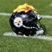 Steelers Interview NFC Defensive Guru for Head Coaching Position