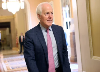 John Cornyn's Chances of Beating Ken Paxton in Texas Primary: New Poll