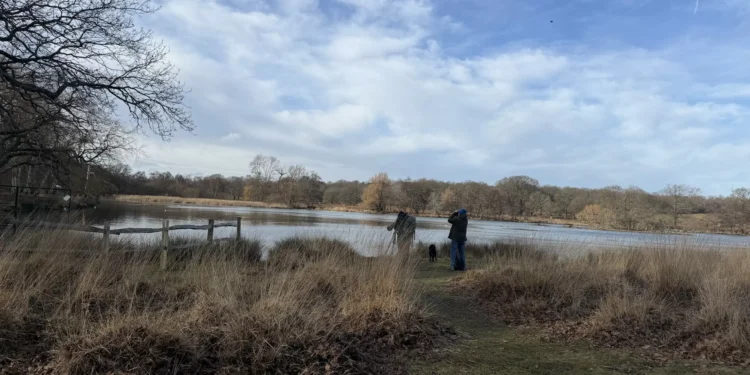 WATCH: Ordinary people are key in fight to save UK birds