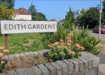 WATCH: Community-powered rewilding: How Citizen Zoo is bringing nature to Londoners